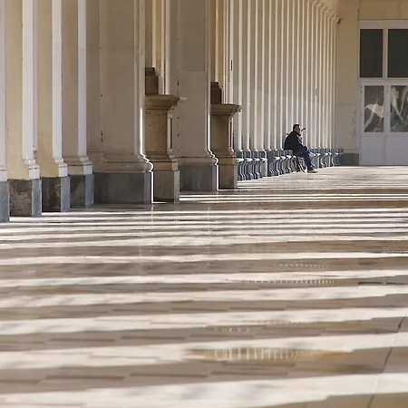 호텔 테르마에 팰리스